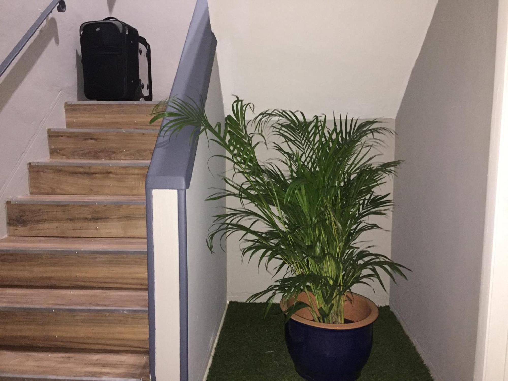 Apartamento 1br W Wifi And Parking *
